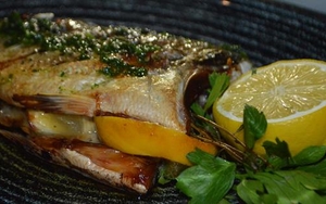 REVIEW | Fox, Hale Barns