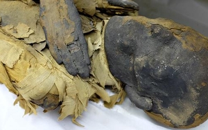 REVEALED: The return of the mummy