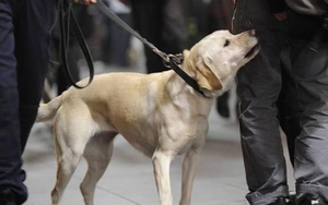 National Media Pounce On Manchester Airport… But Is It Fair?