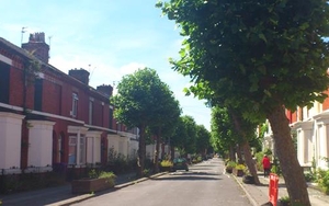 Cairns Street up for Great Street Award