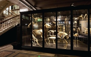 New £5m Gallery For Manchester Museum