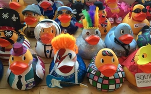 Vote For The Best Dressed Duck