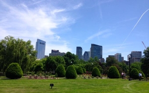 MCR Grass. What Is It Good For? Absolutely Nothing?