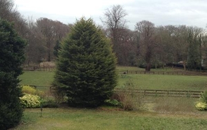 'Village Green' bid to save Calderstones land from developers