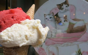 Pizza, ice cream and death in old Naples