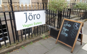 2018 07 26 Joro Review 2018 07 23 Joro 1