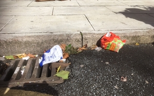 20170918 Litter Liverpool