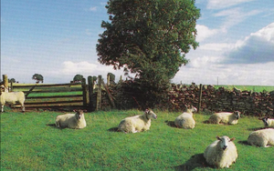 Screen Shot 2017 12 14 At 14 39 25