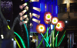 2018 10 16 The Secret Winter Garden Matthew Andrews 1