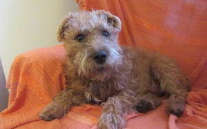 Dt Pj Cof Xo Aakd Jr