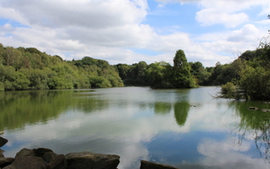 2019 08 28 Golden Acre Park Jack Ambler
