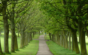 2018 09 26 Leeds Running Simon Richardson Woodhouse Moor