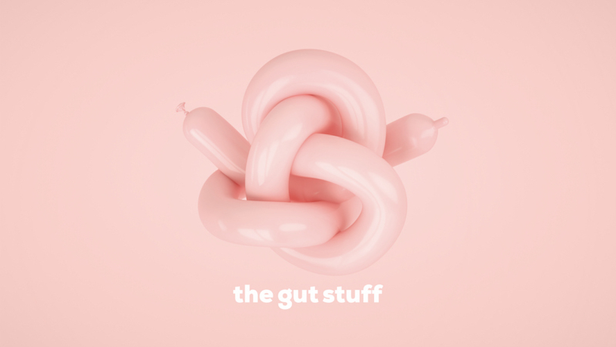 19 02 15 The Gut Stuff Roadshow Jkr475 The Gut Stuff Core Logo