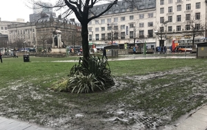 Piccadilly Gardens Mud Img 4884