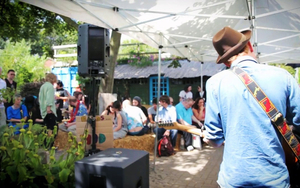 170322 Hulme Garden Centre2