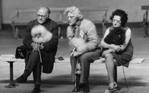 2018 11 16 Dog Show Shirley Baker 4