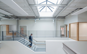 2 Omi Mustard Tree 1 Of 20