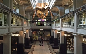 Manchester Museum After Hours Manchester Museum 940X460