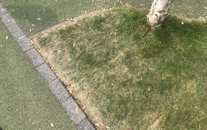 04 18 2019 Cathedral Gardens 2