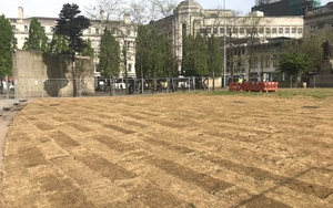 180509 Piccadilly Gardens Grass Img 2041