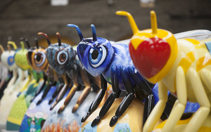 Bee Line Up David Oates Photography