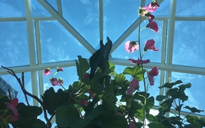 180628 Alderley Edge Hotel Chris Img 2679