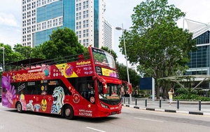 Sightseeing Bus 594F