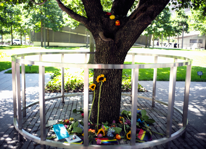 Survivor Tree at 9/11 Memorial