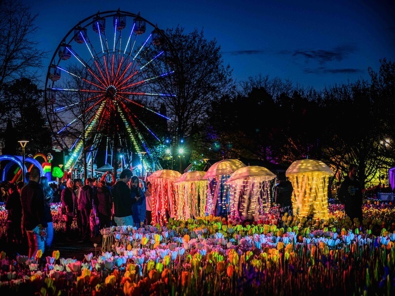 Floriade Nightfest – Visit Canberra
