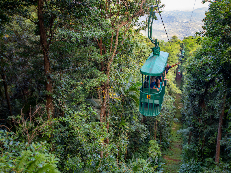 Rainforest Adventures Aerial Tram – St Lucia Tourism Authority