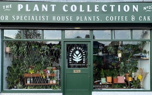 Exterior Shot Of The Plant Collection