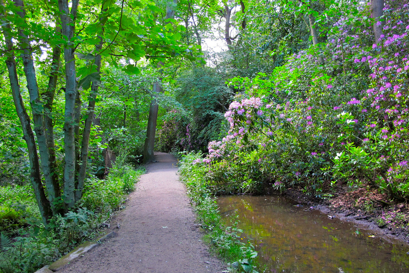 Meanwood Valley Trial Park