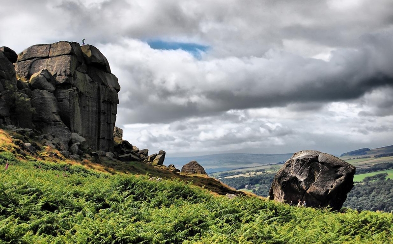 Mini 20190709 Cow And Calf Ilkley