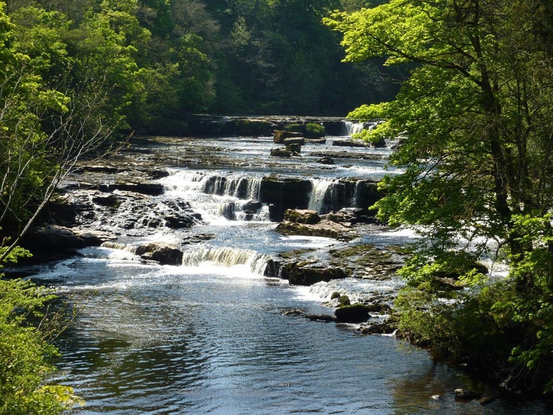 Mini 20190797 Aysgarth Falls