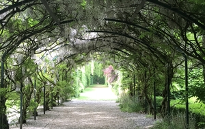 18 05 25 Walkden Secret Garden