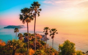 29Bccb9E Ca87 44D7 9D15 5C5Facbd145E