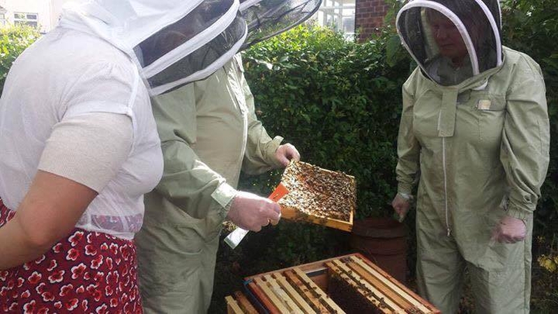 2019 06 05 Manchester Beekeepers