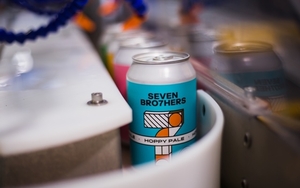 Selpho Product Sb 280220 L 31 Of 39