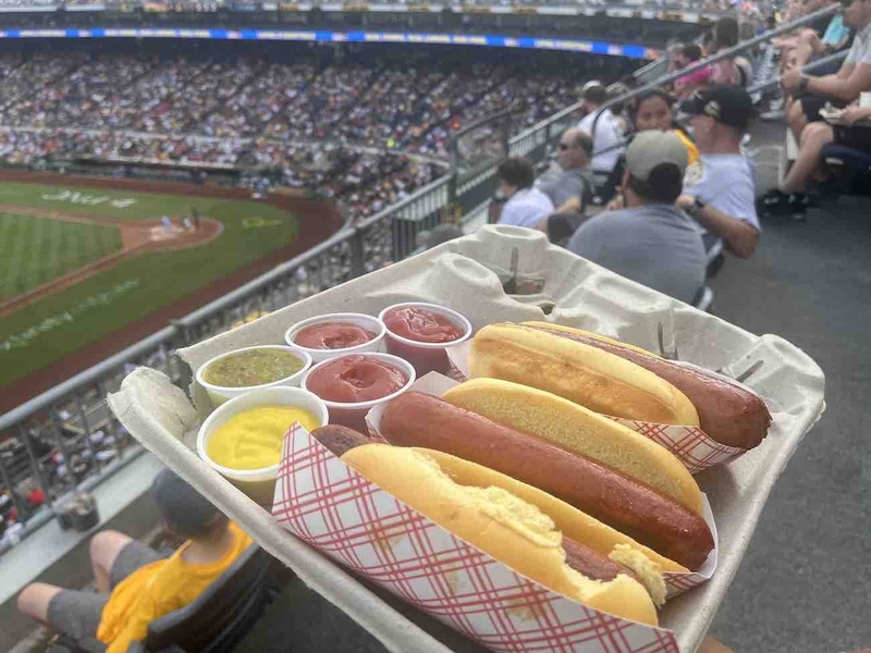 Pittsburgh Baseball Dogs