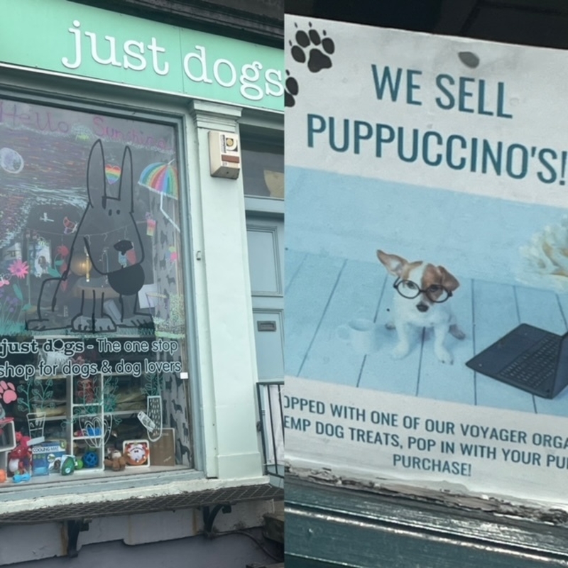 Edinburgh Puppocinos
