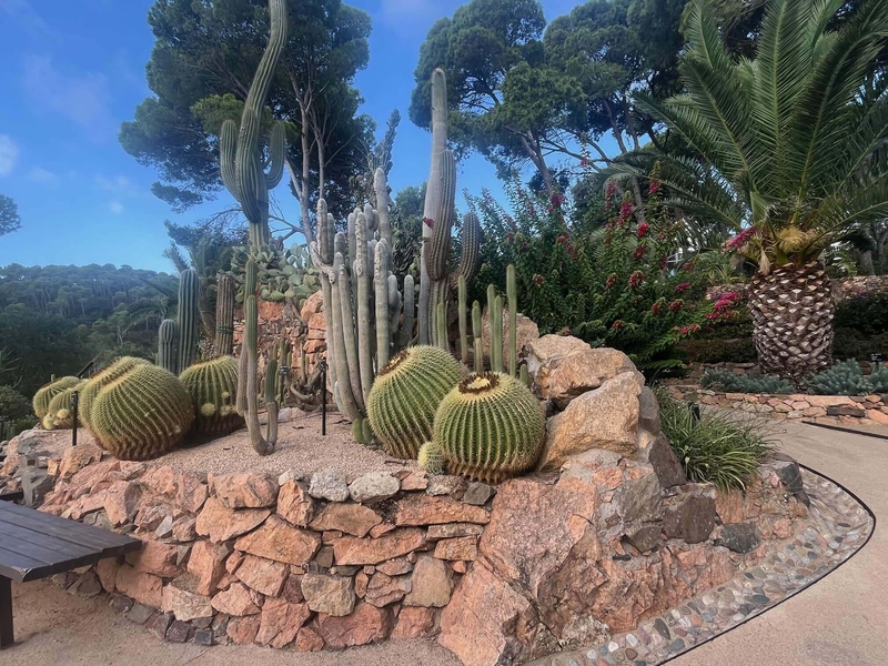 Girona Cap Roig Cacti