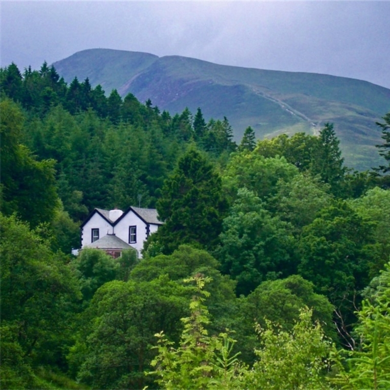 Cottage In The Forest