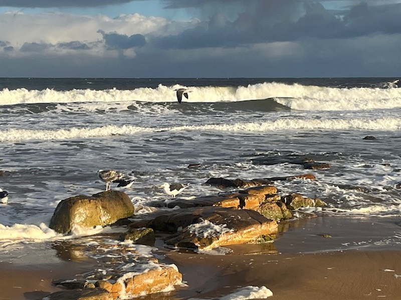 Scot Brora Beach