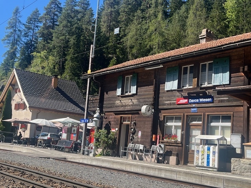 Rail Wiesen Station