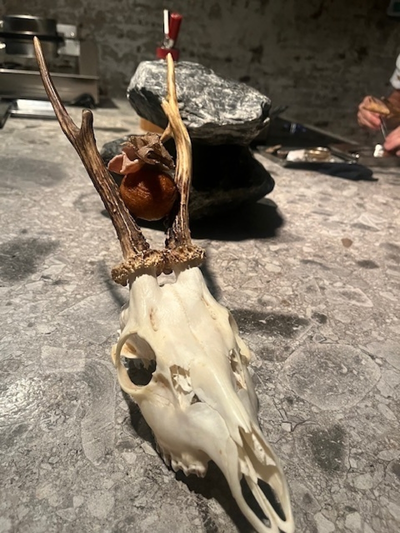 Rot Pigeon Ice Cream