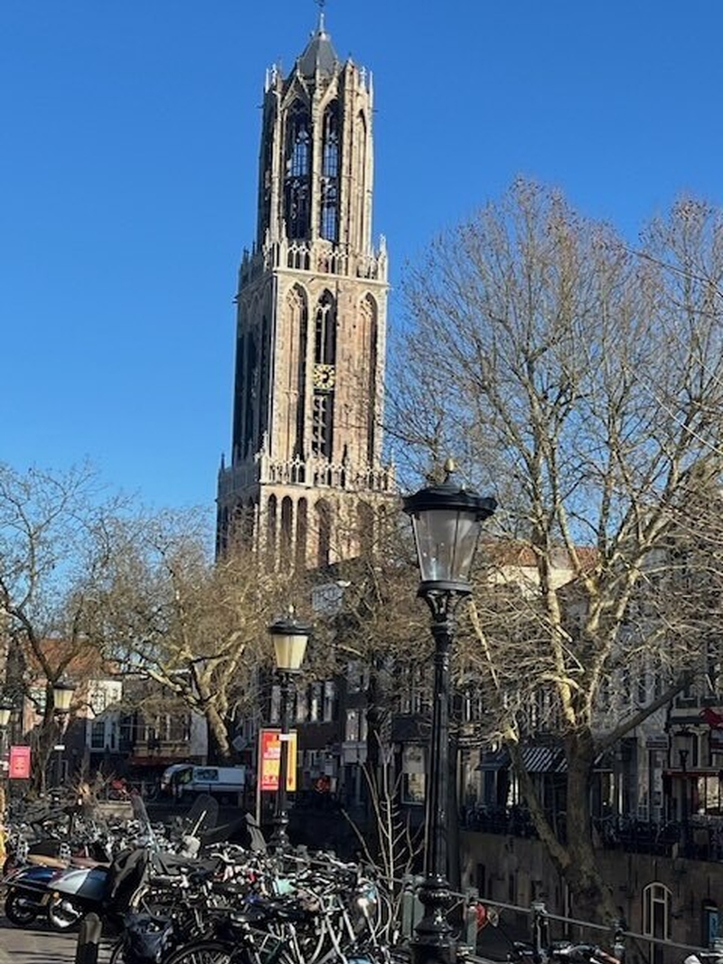 Ut Dom 1