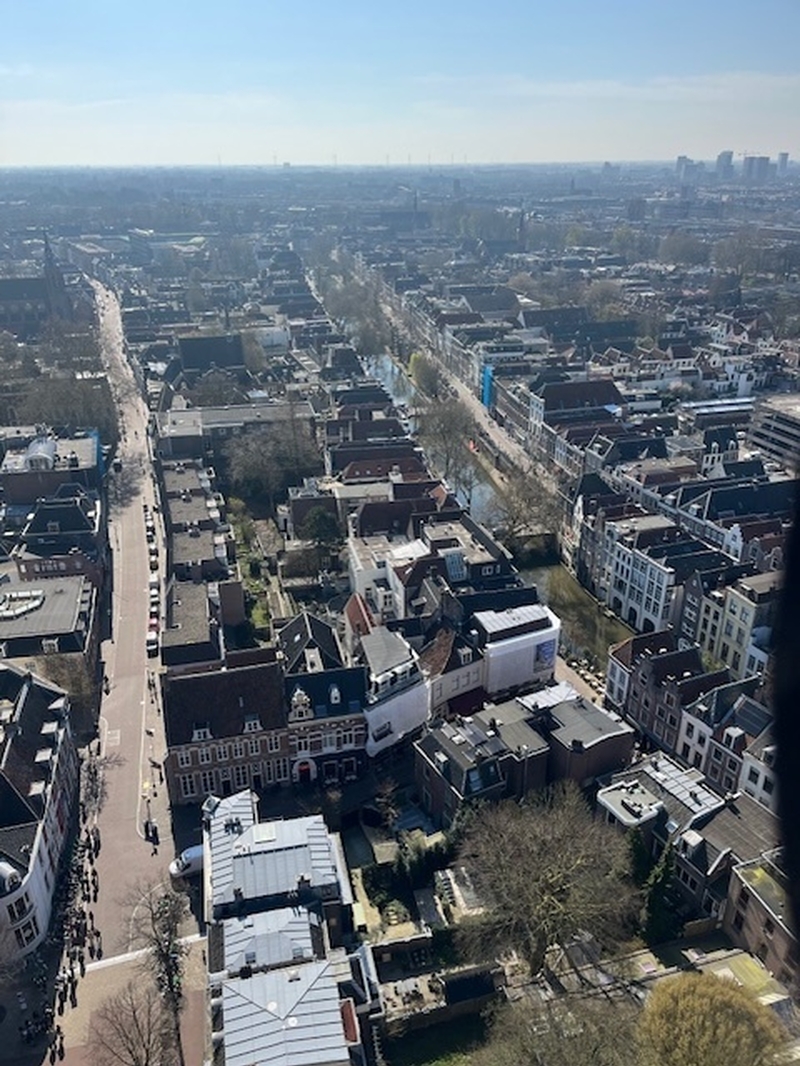 Ut Dom View