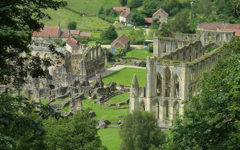 Pig Abbey From Terrace