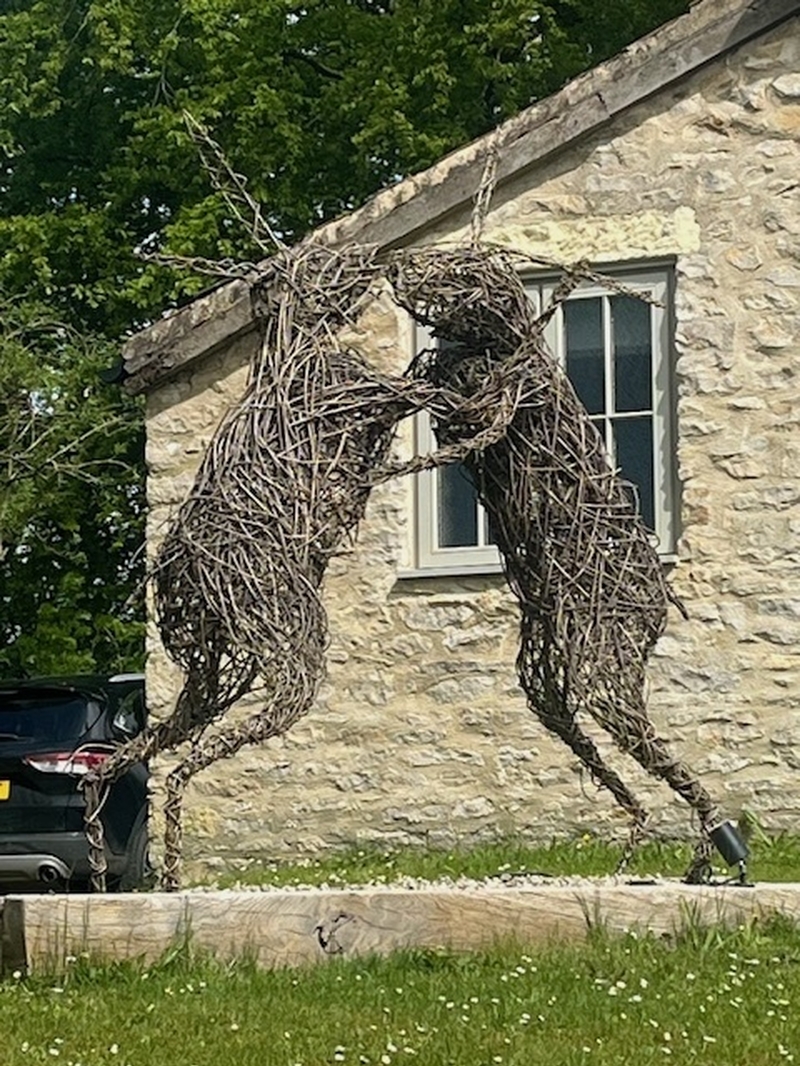 Pig Hares Boxing