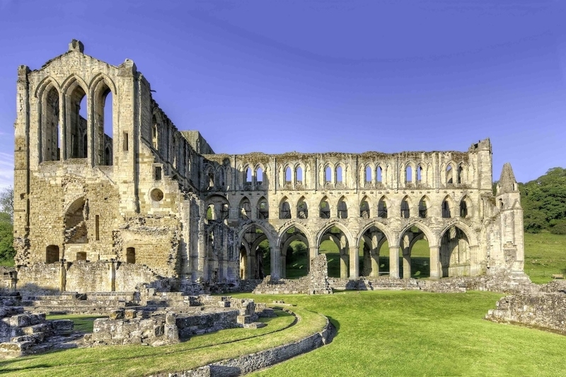 Pig Rievaulx